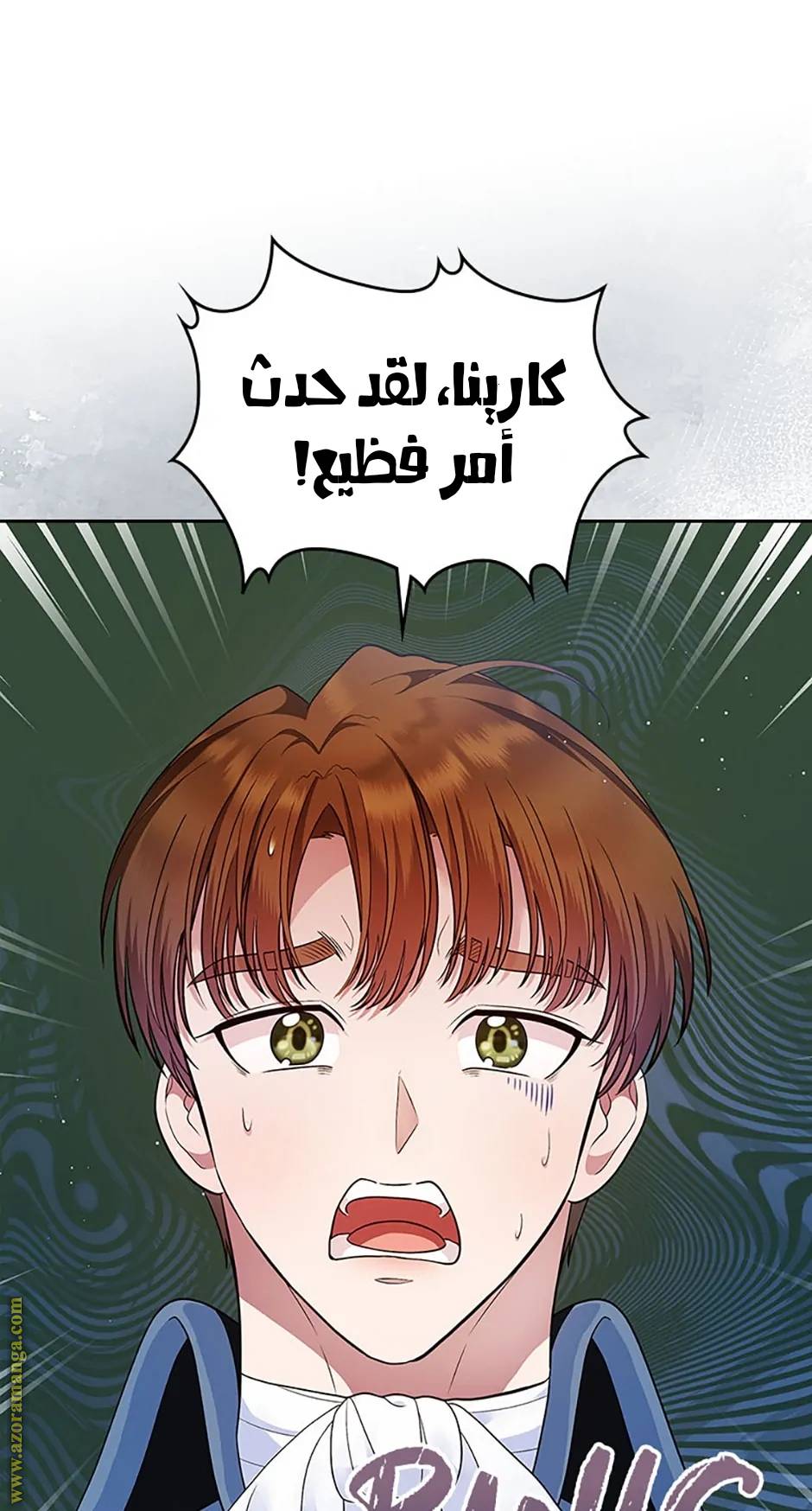 الصفحة 21