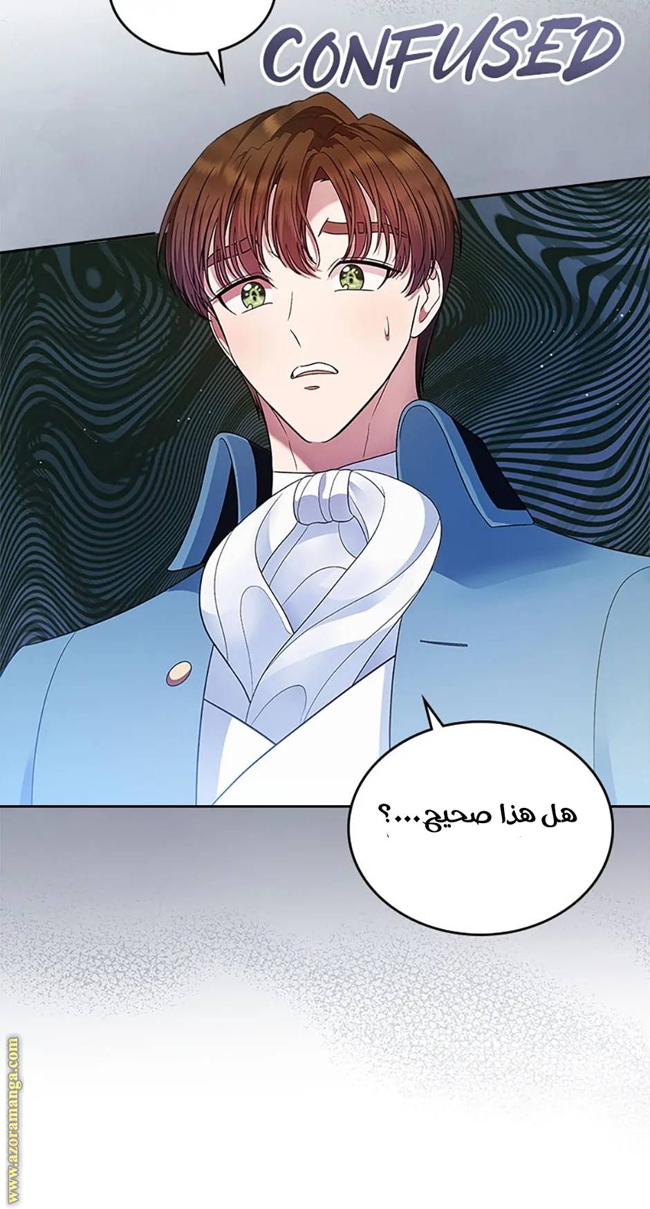 الصفحة 25