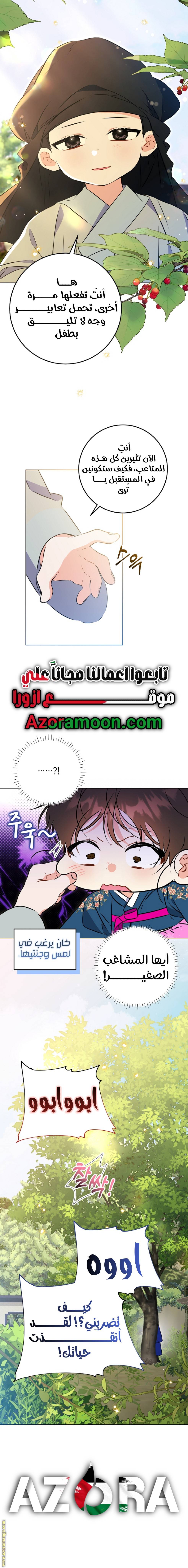 الصفحة 13