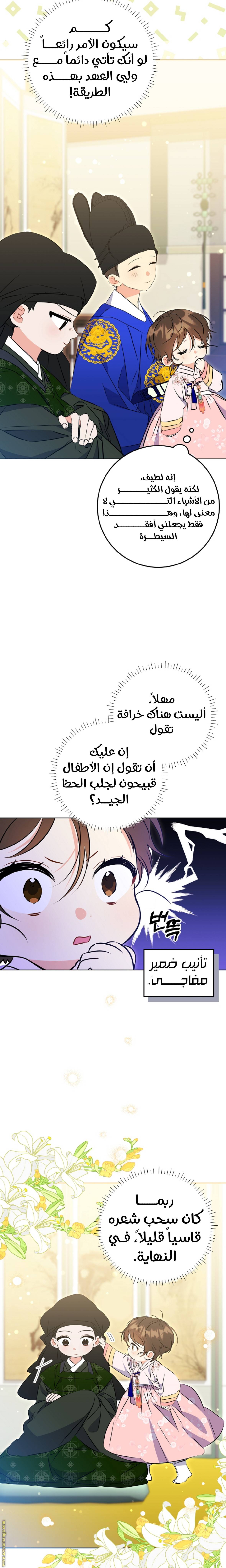 الصفحة 17