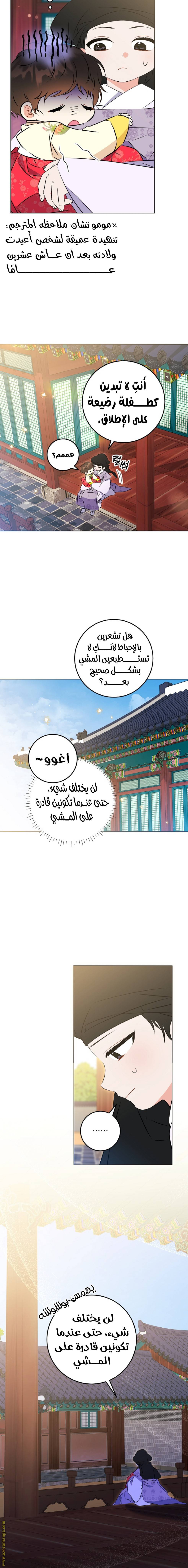 الصفحة 16