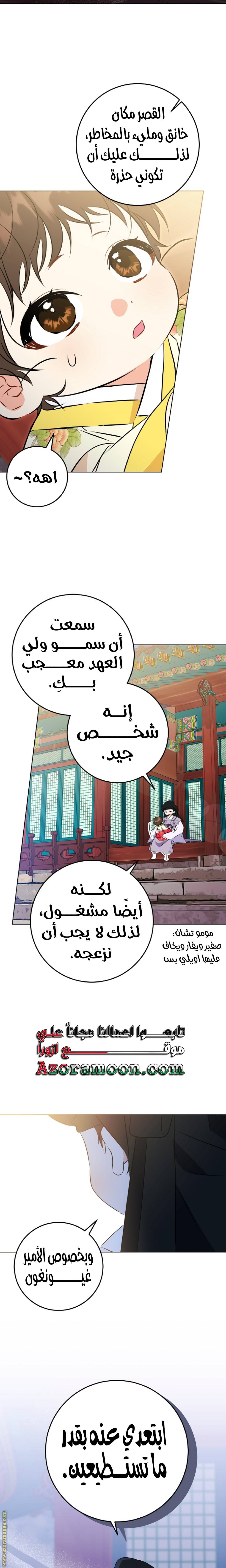 الصفحة 17