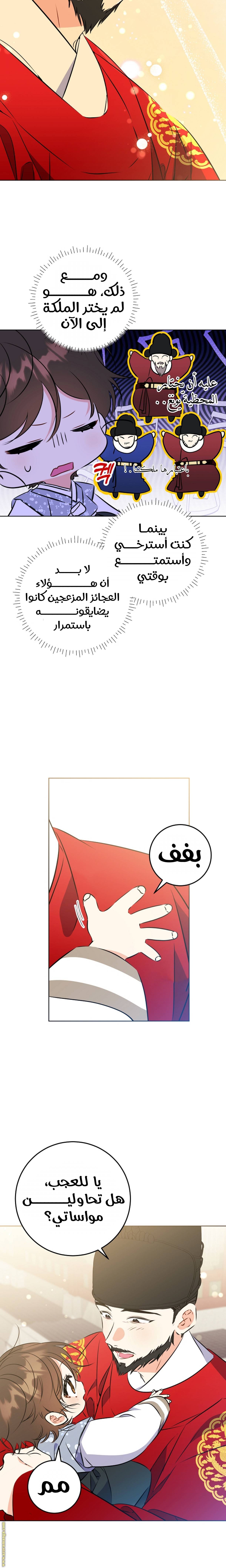 الصفحة 7