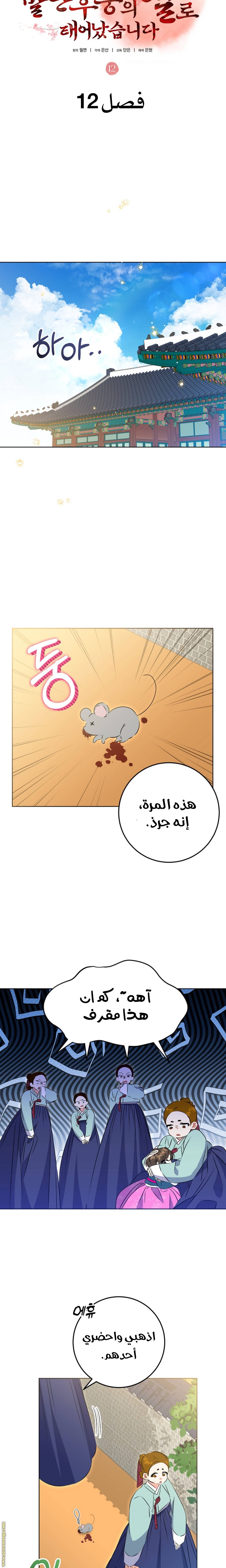 الصفحة 5