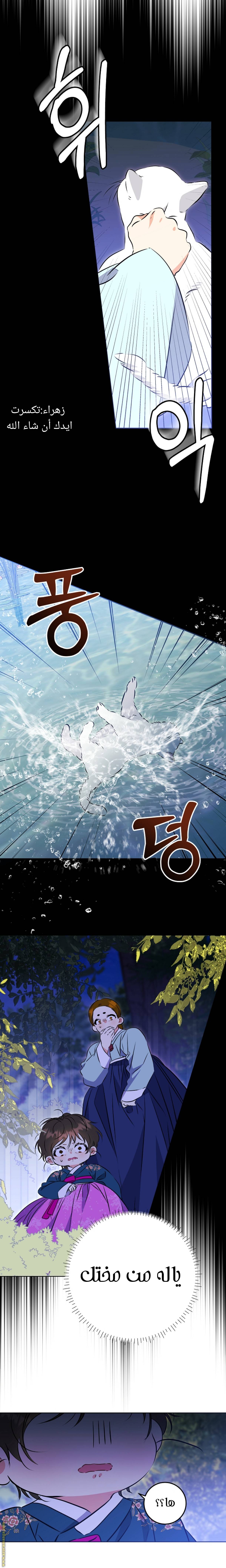 الصفحة 19