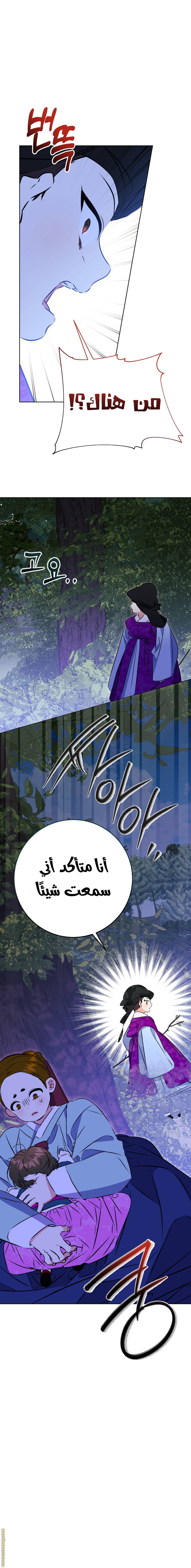الصفحة 20