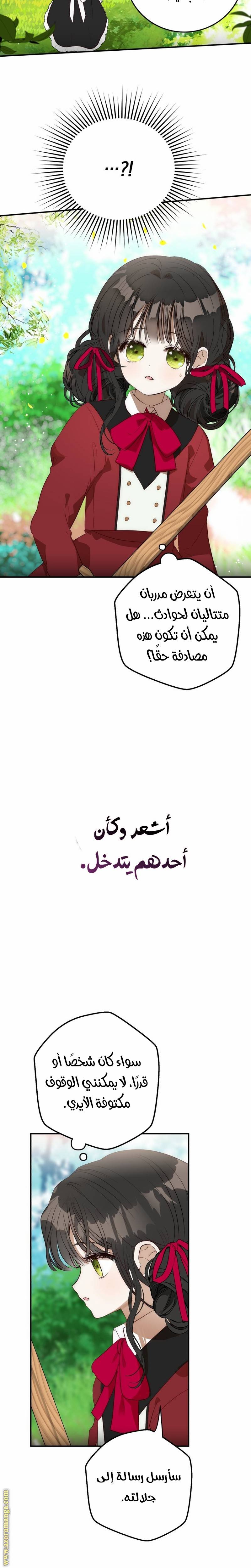 الصفحة 13