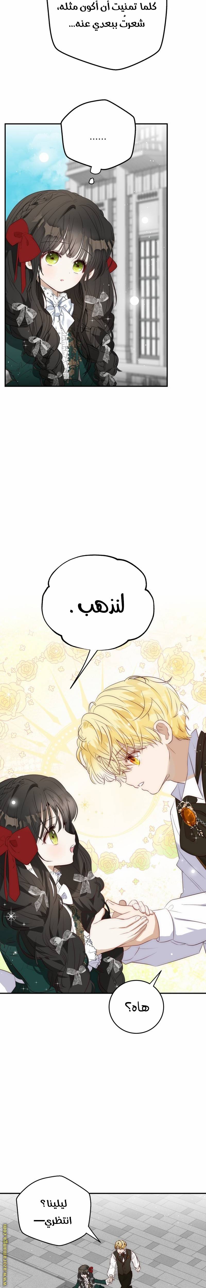 الصفحة 17
