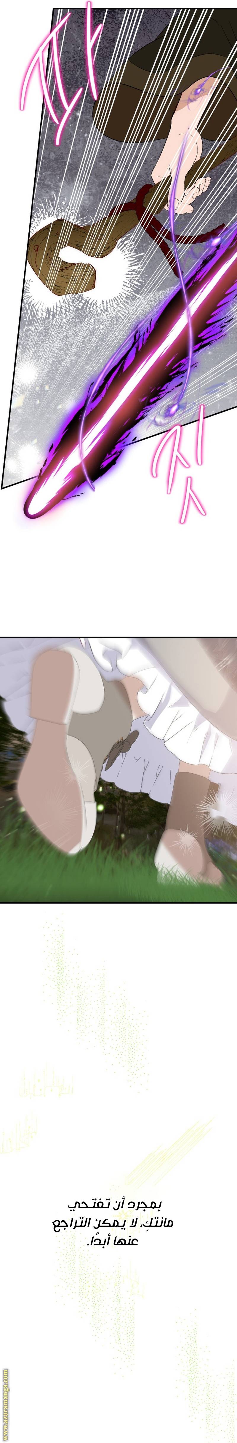 الصفحة 17