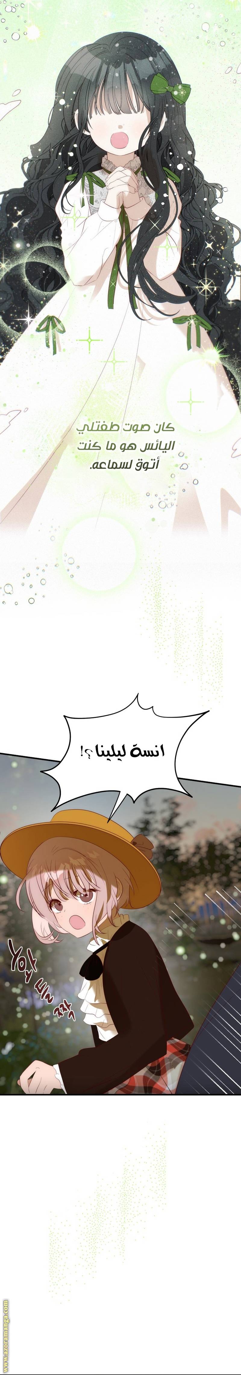 الصفحة 19