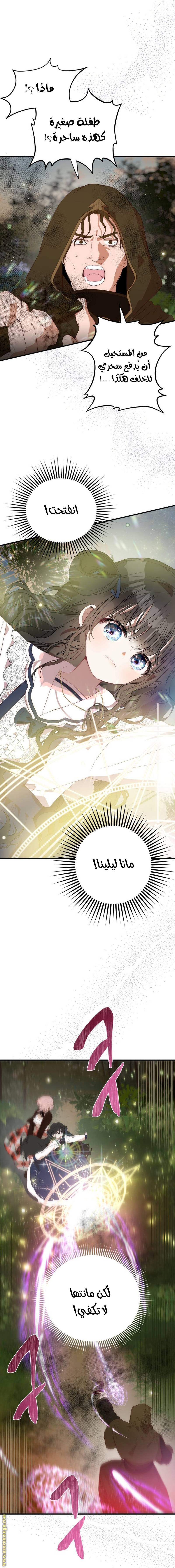 الصفحة 21