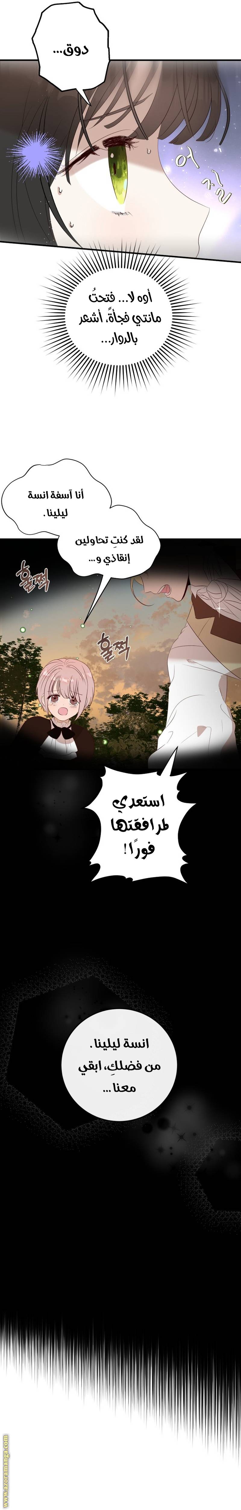 الصفحة 25