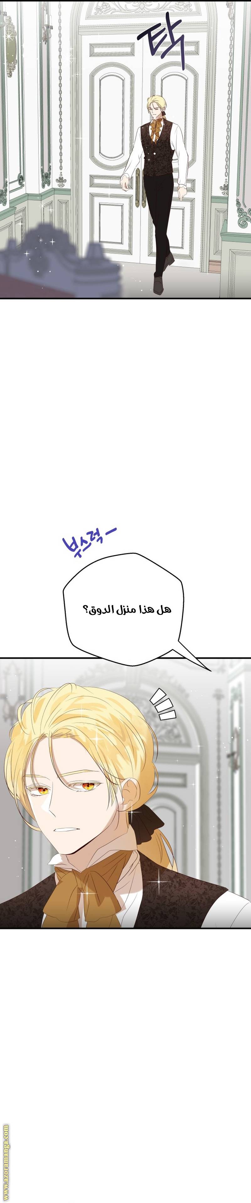 الصفحة 27