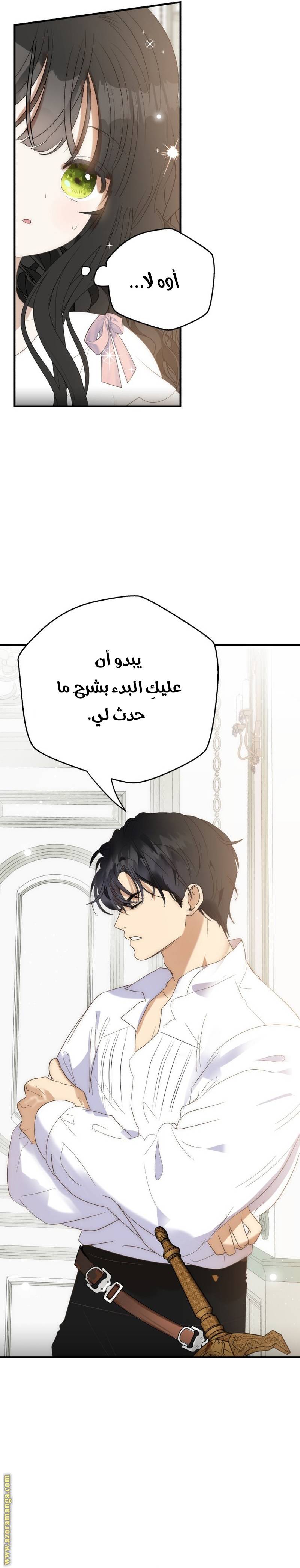 الصفحة 29