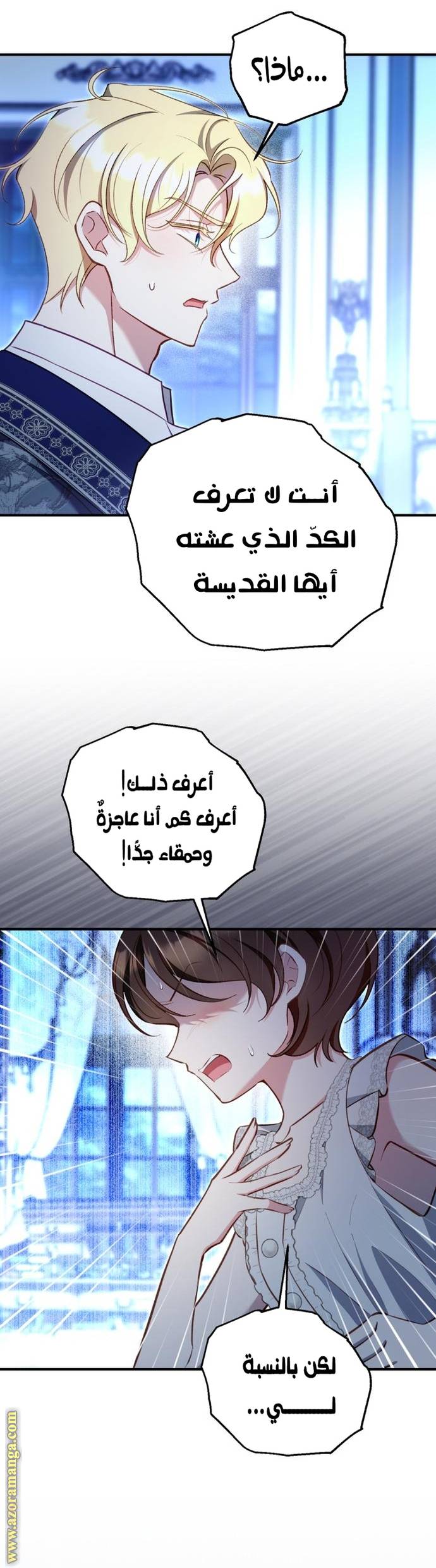 الصفحة 13