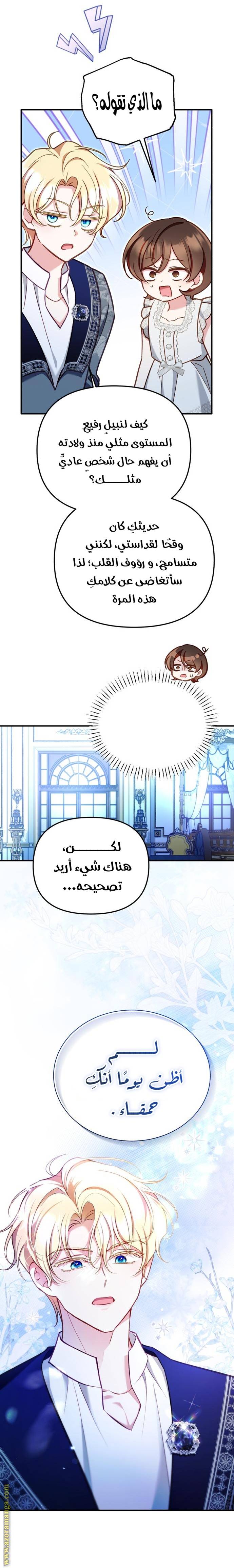 الصفحة 17