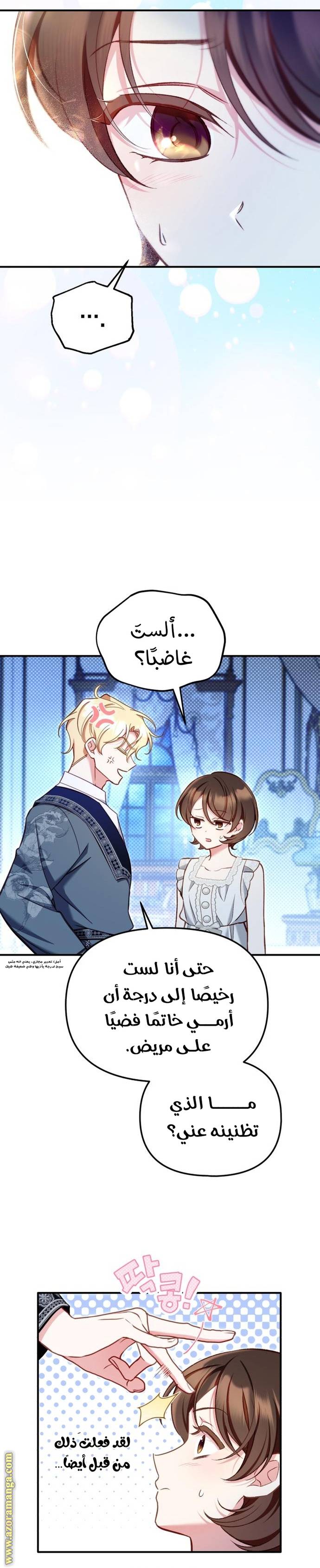 الصفحة 19
