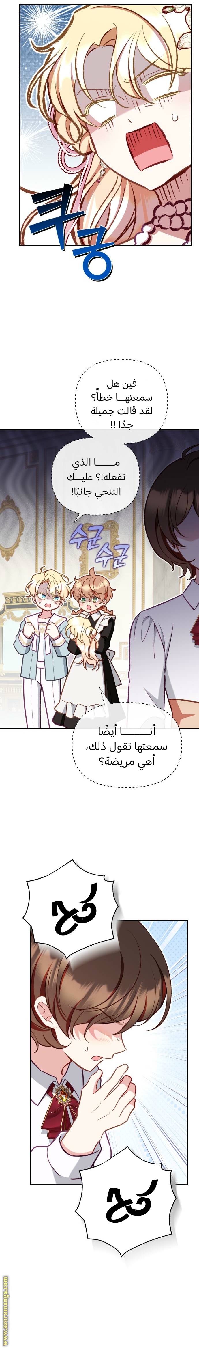 الصفحة 21