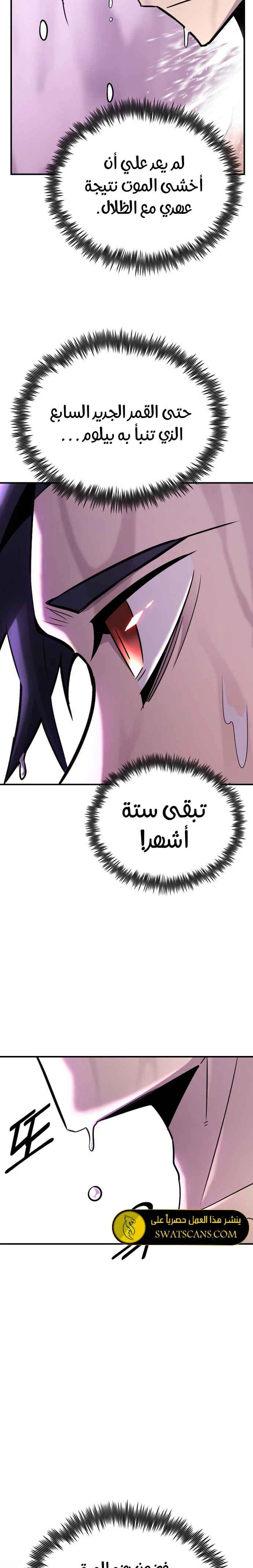 الصفحة 19