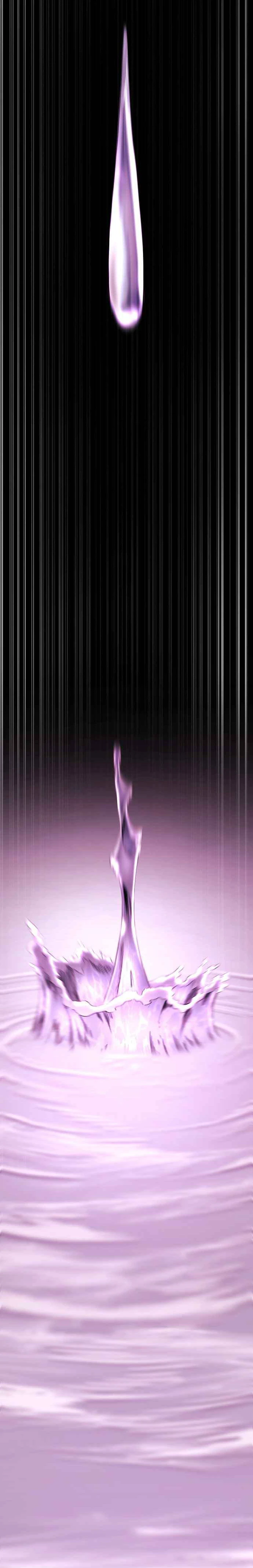 الصفحة 21