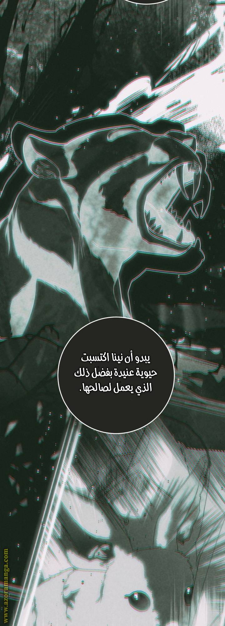 الصفحة 13