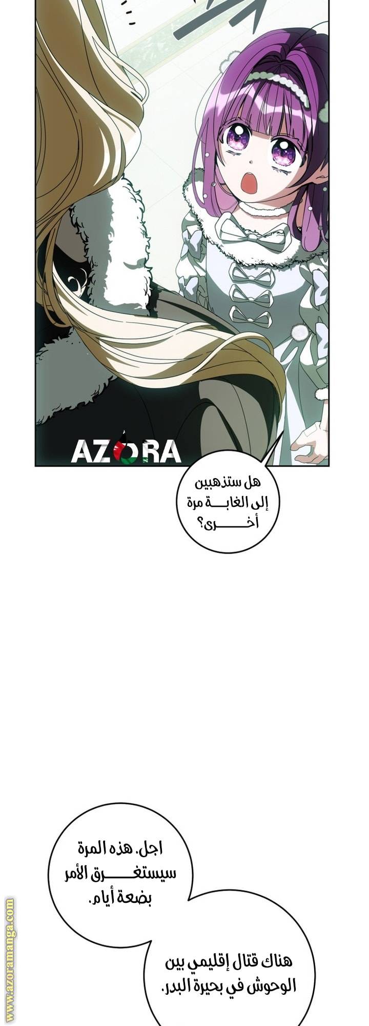الصفحة 29