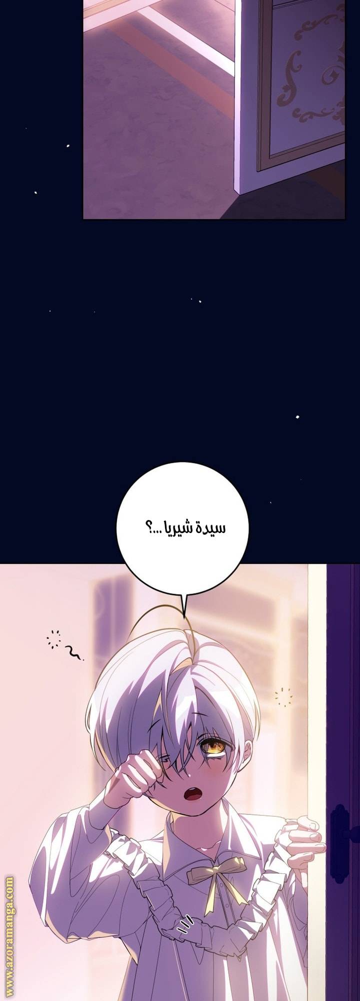 الصفحة 46