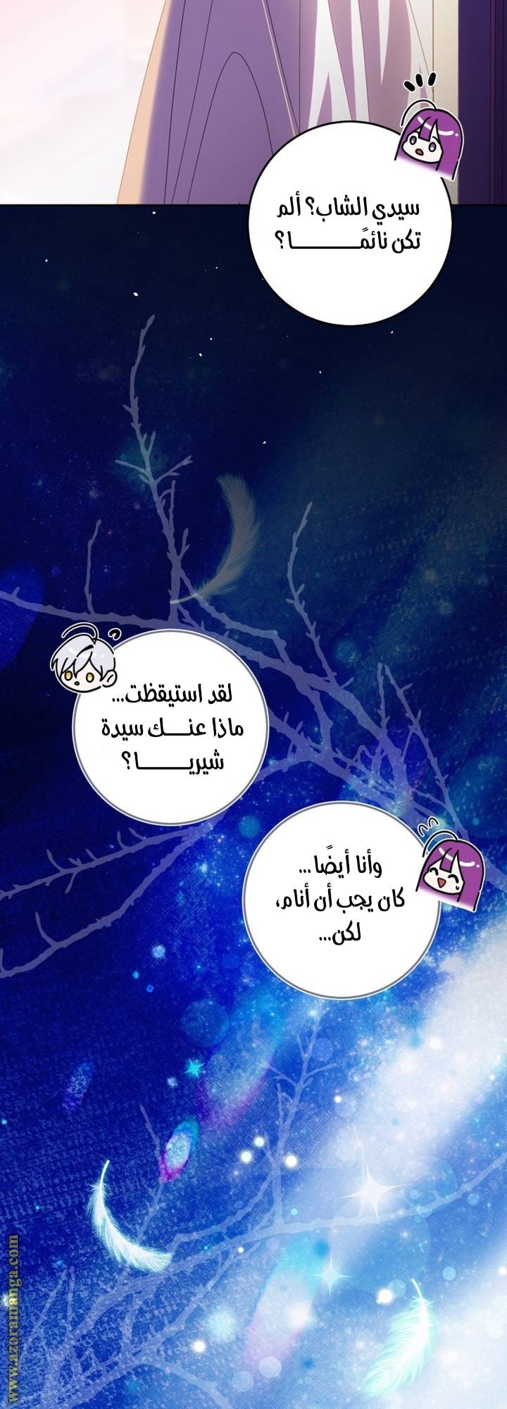الصفحة 47