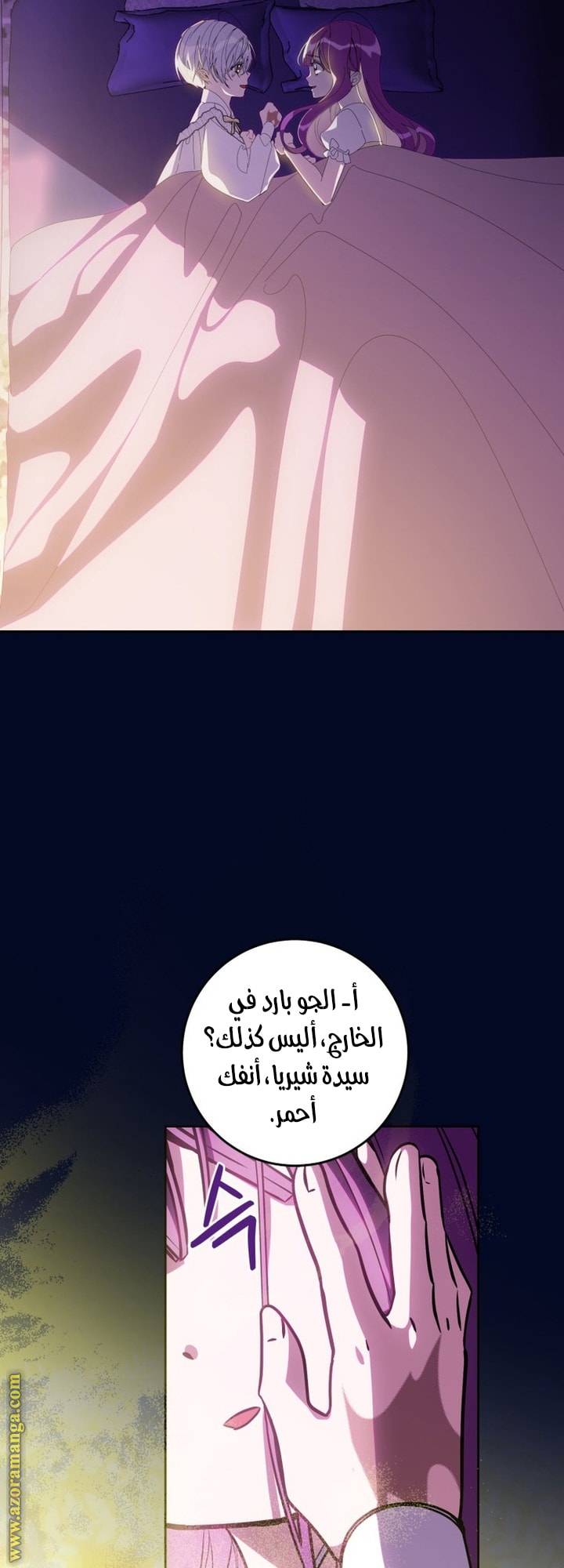 الصفحة 51