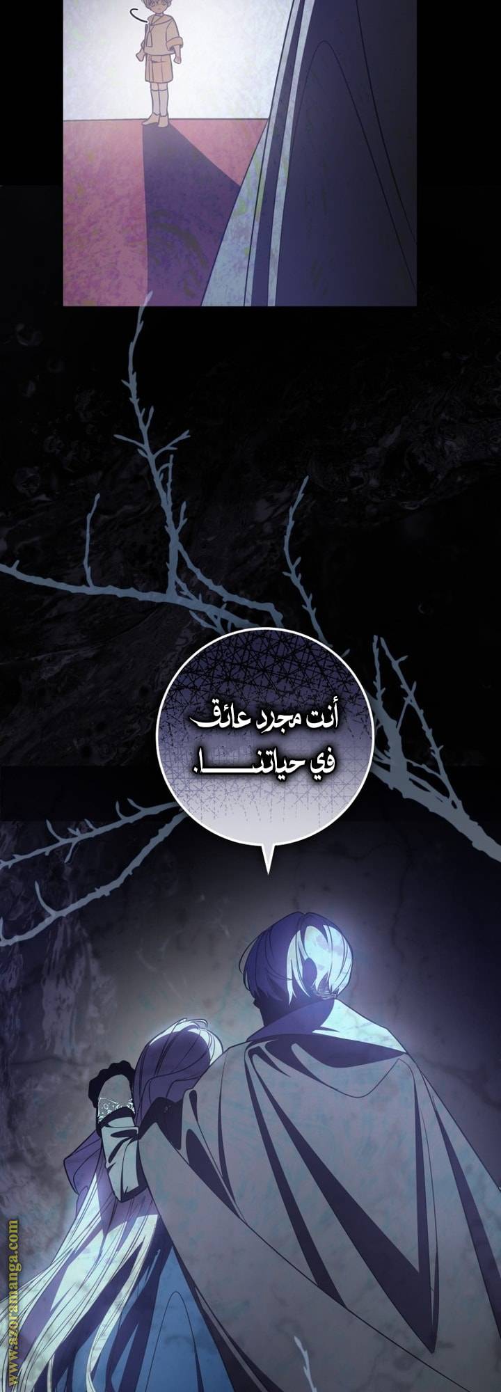 الصفحة 13