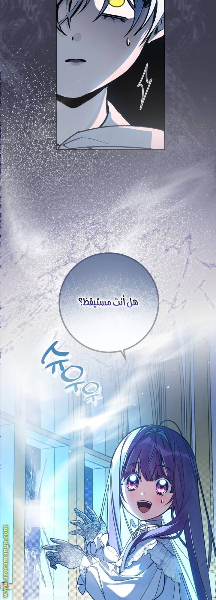الصفحة 24