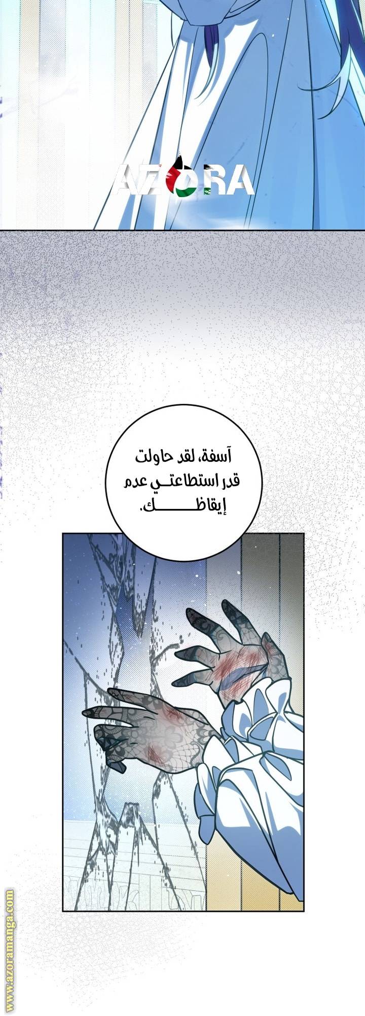 الصفحة 25