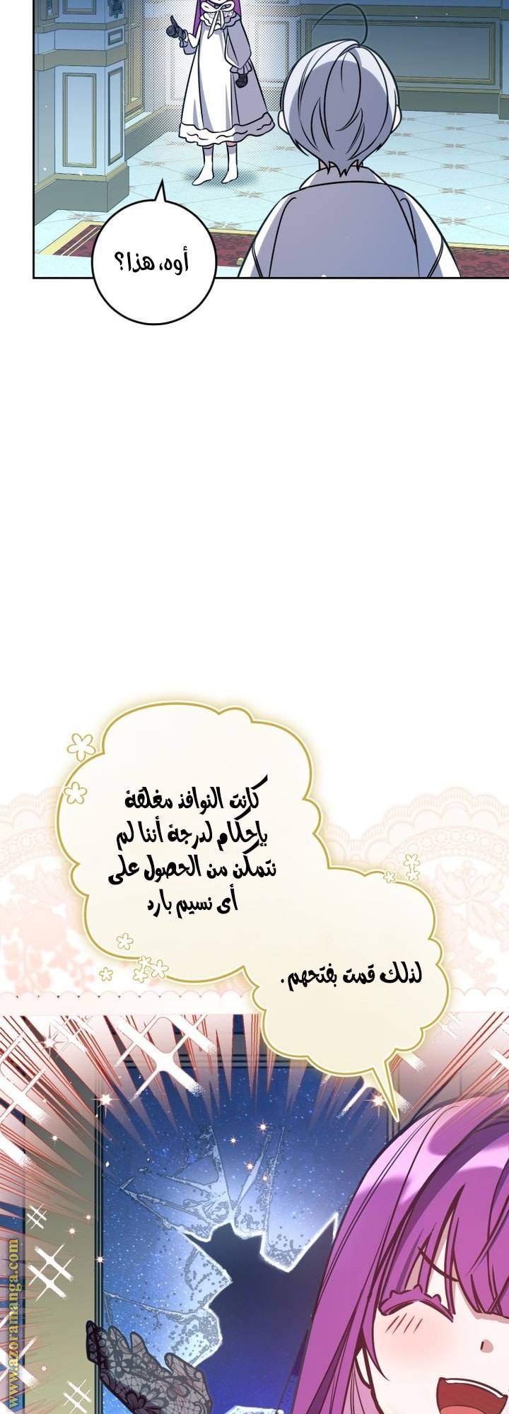 الصفحة 27
