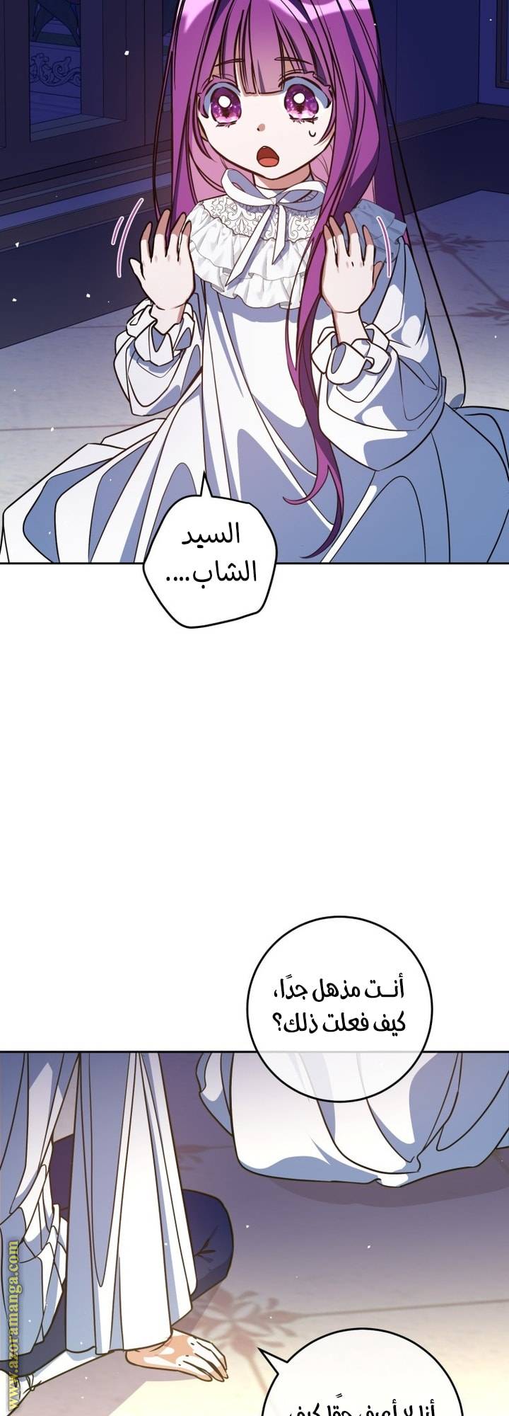 الصفحة 43