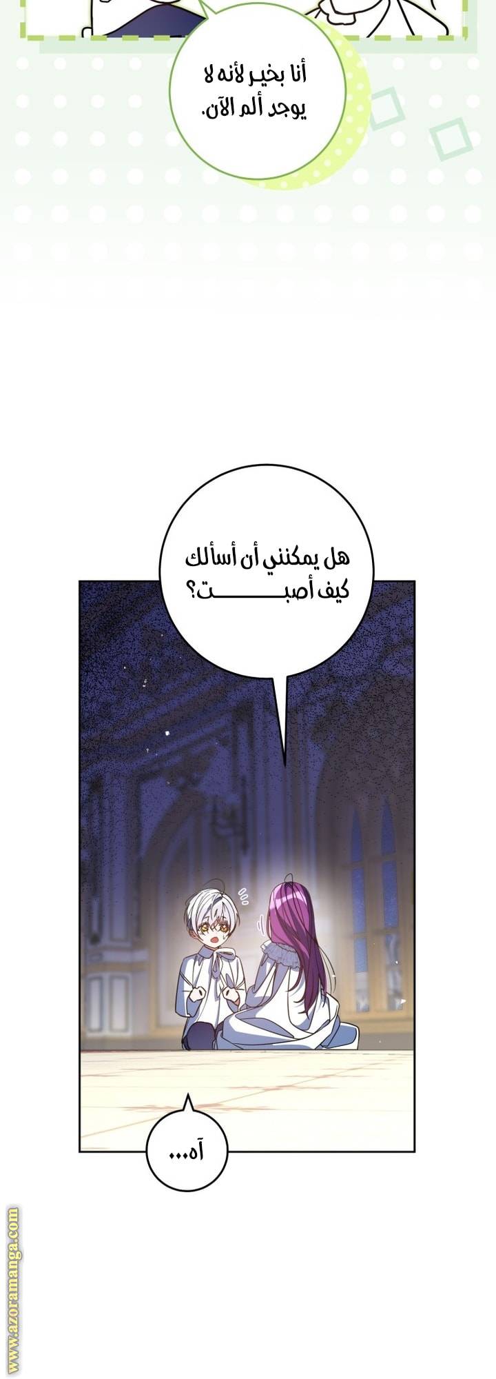 الصفحة 46