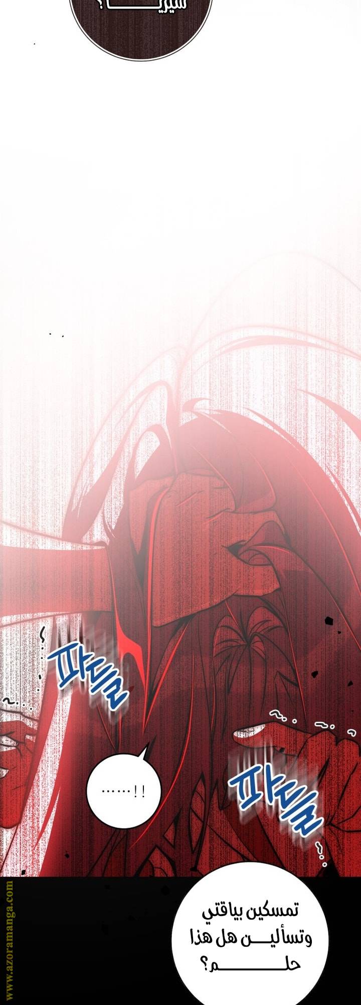الصفحة 22