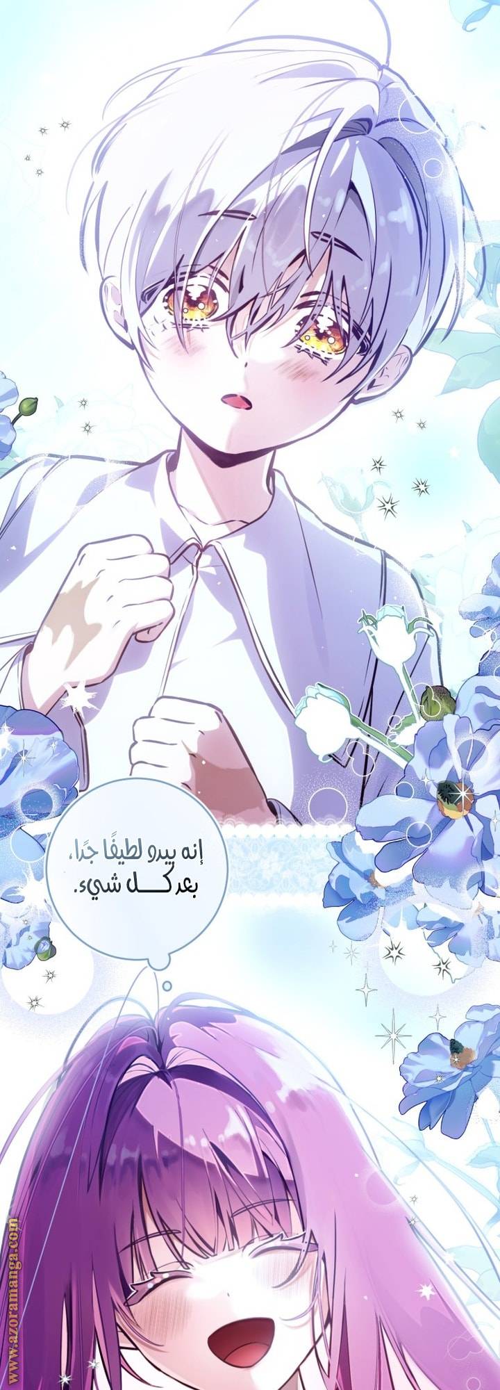 الصفحة 43