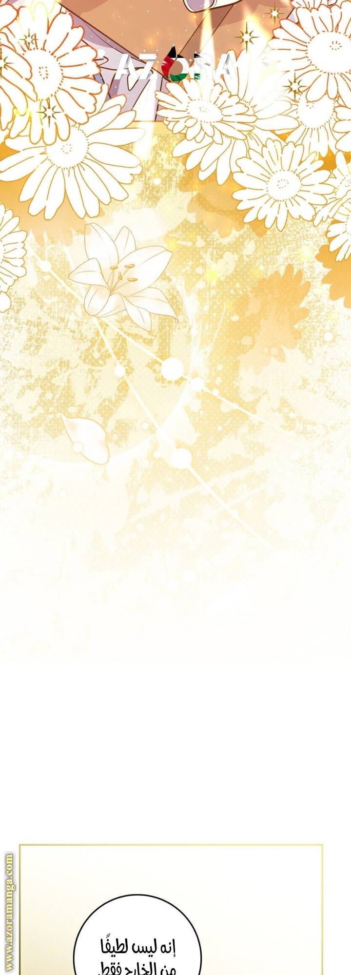 الصفحة 52