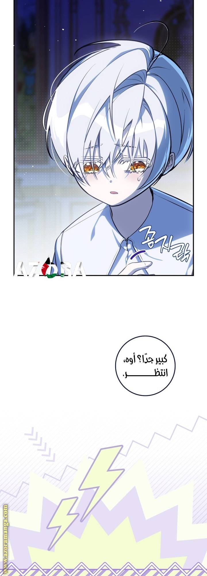 الصفحة 65