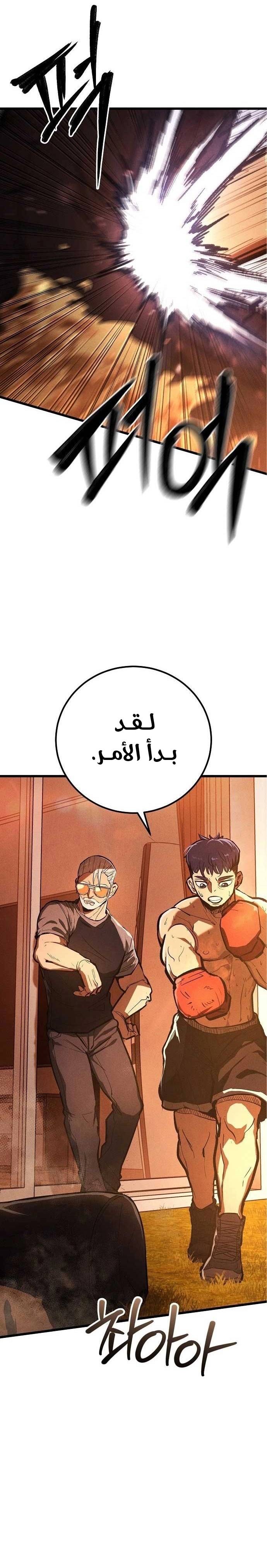 الصفحة 29