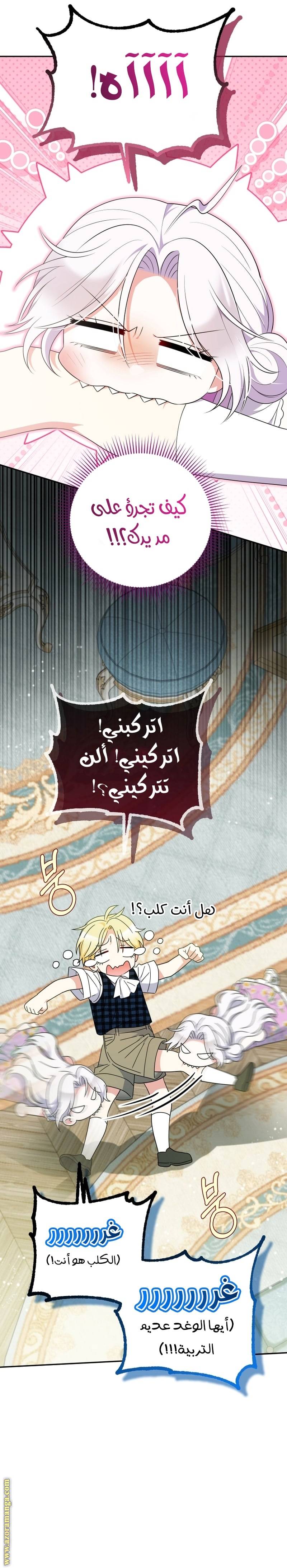 الصفحة 15
