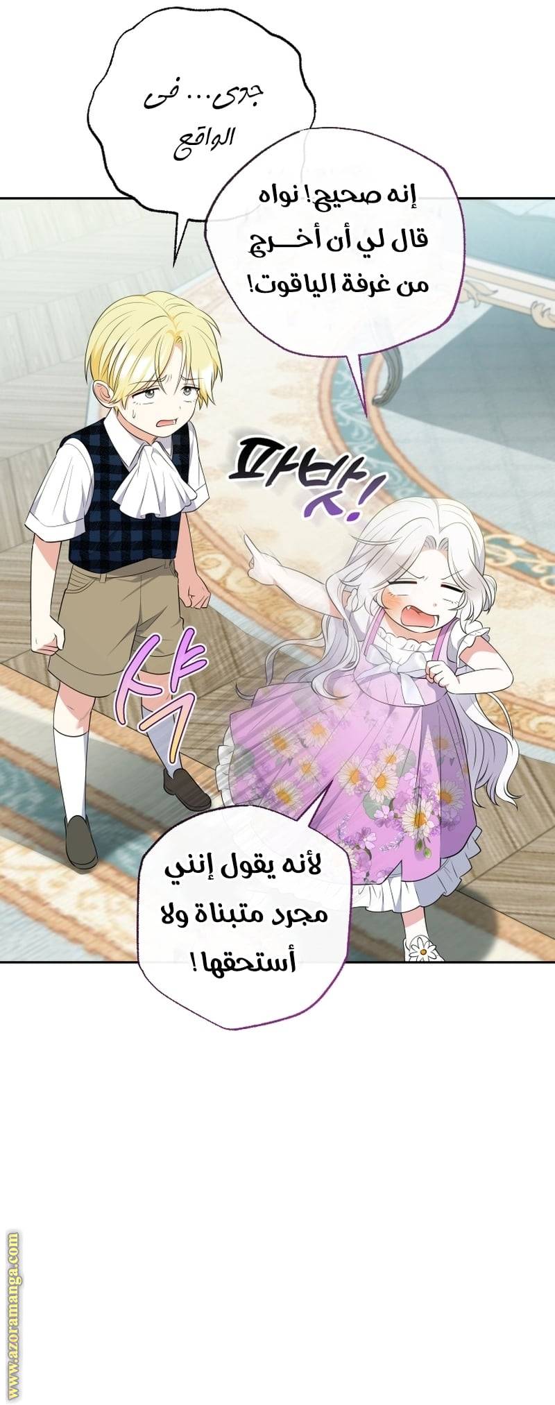 الصفحة 17