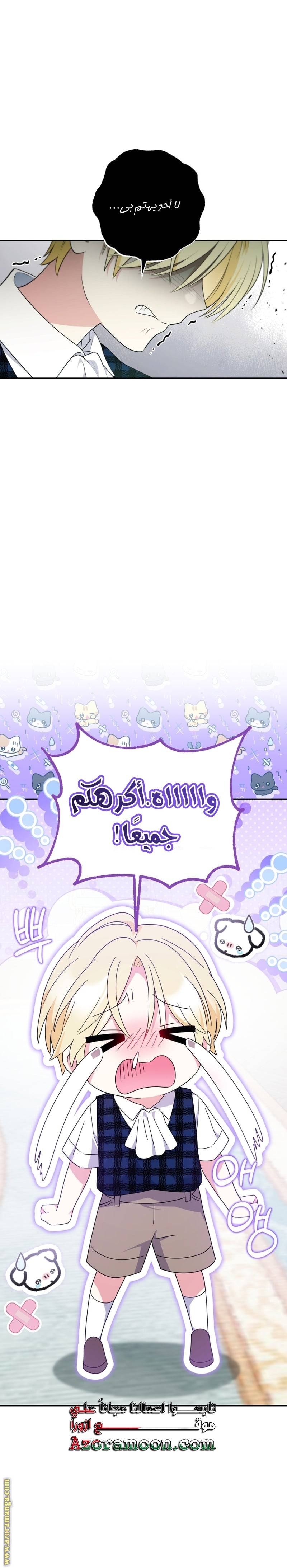 الصفحة 19
