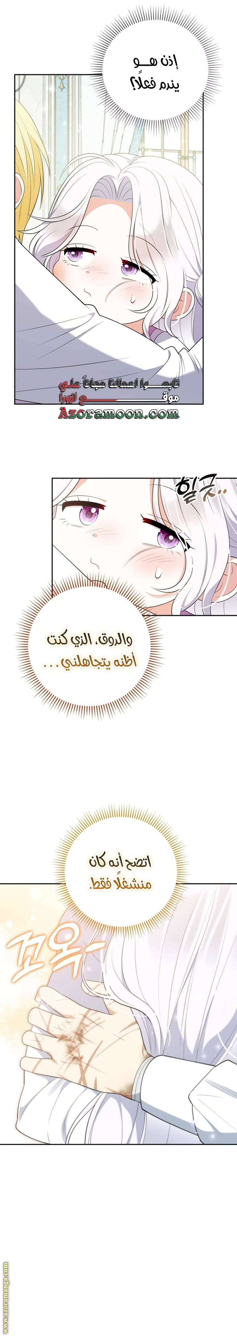 الصفحة 25