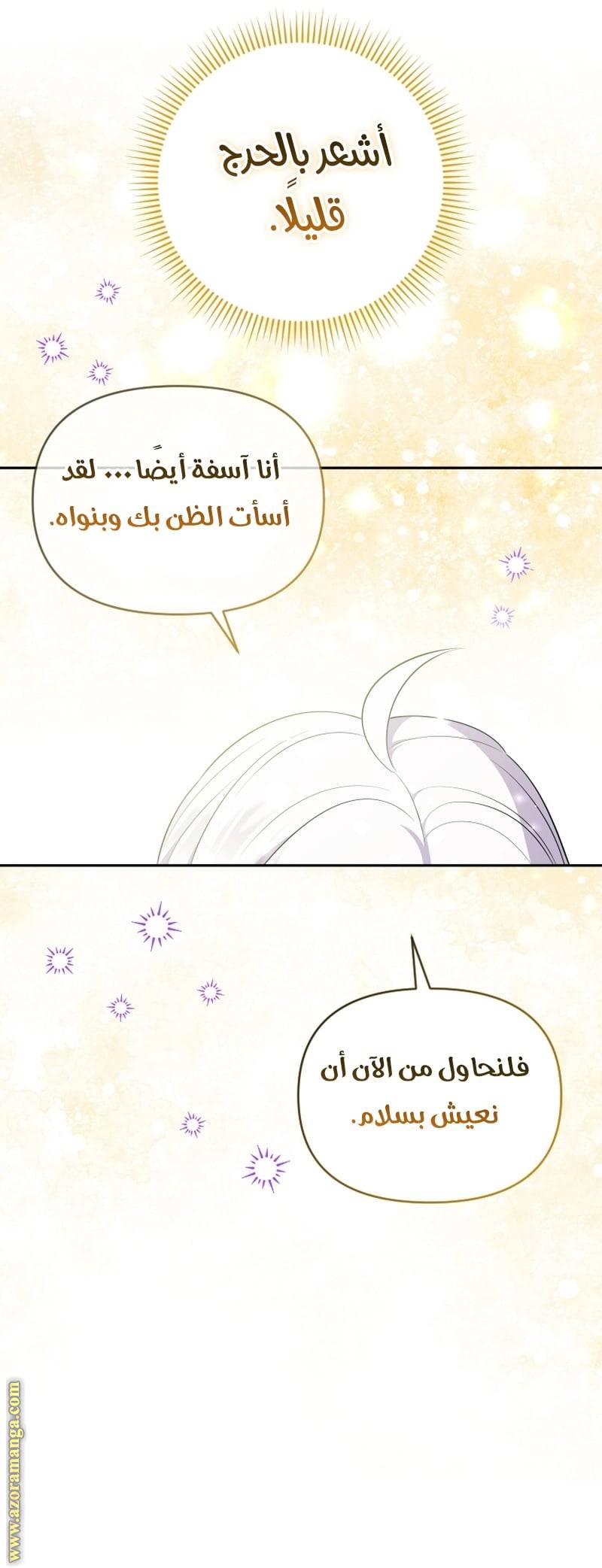 الصفحة 26