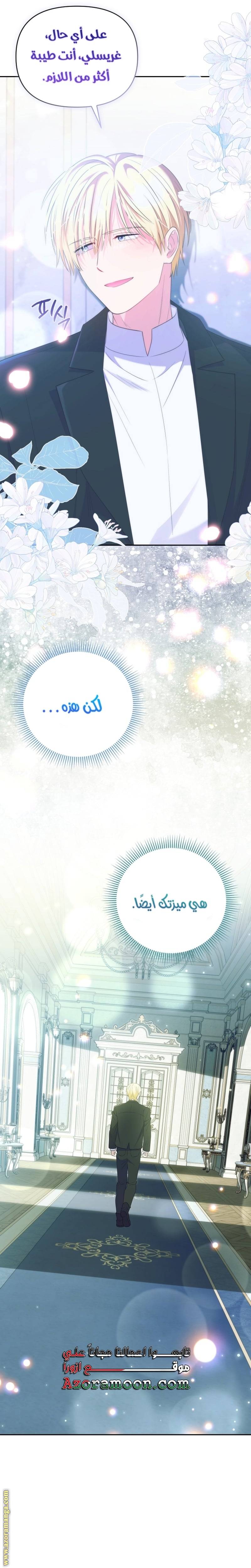 الصفحة 29