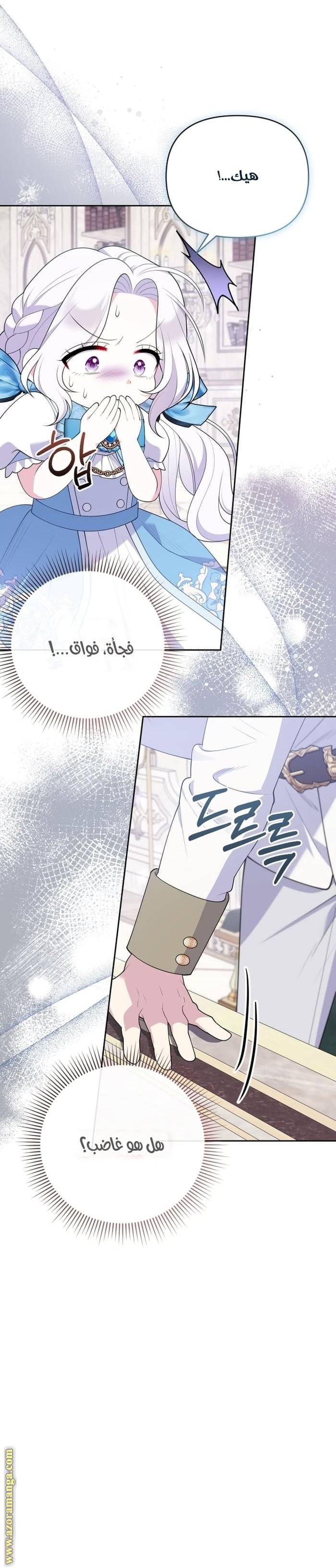 الصفحة 12