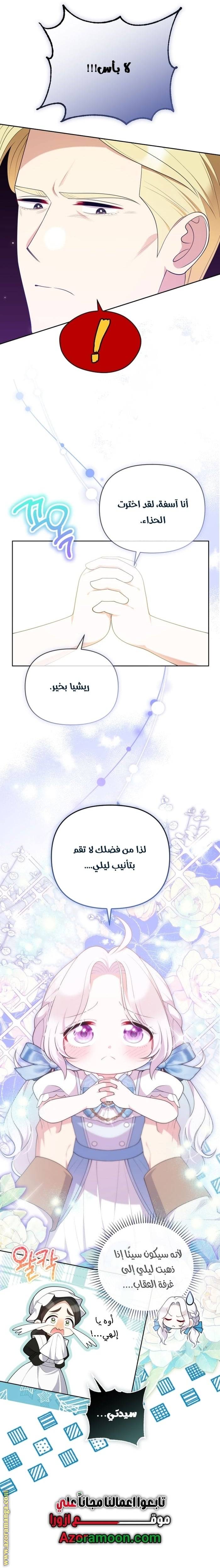 الصفحة 17