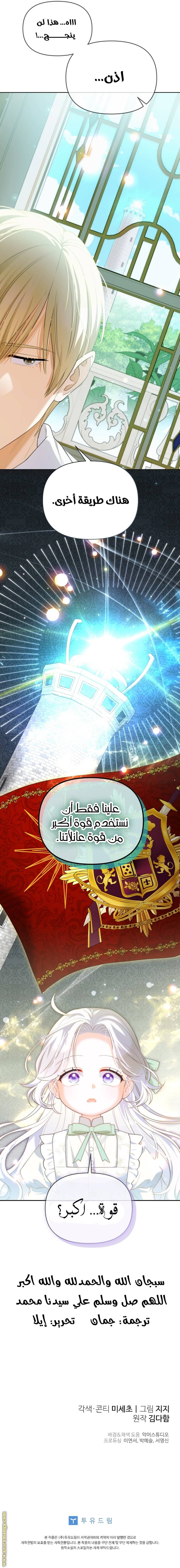 الصفحة 17