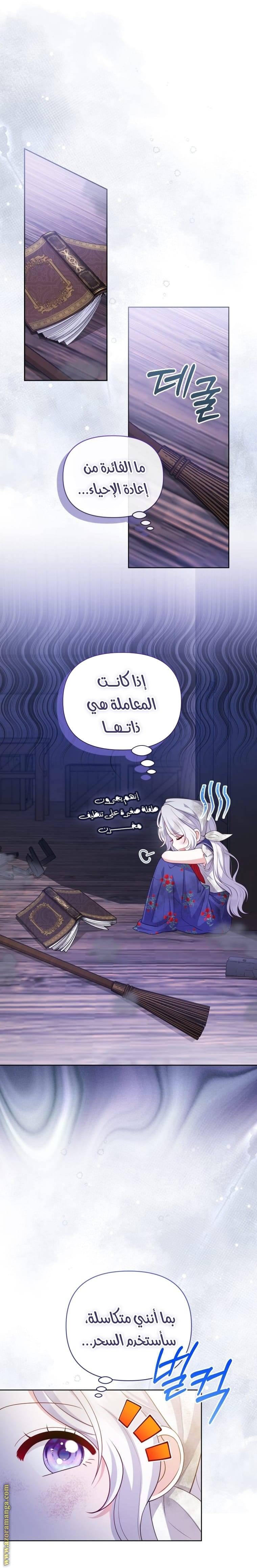 الصفحة 13